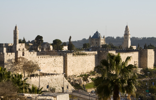Old Jerusalem wall with David Towe at left. Israel.