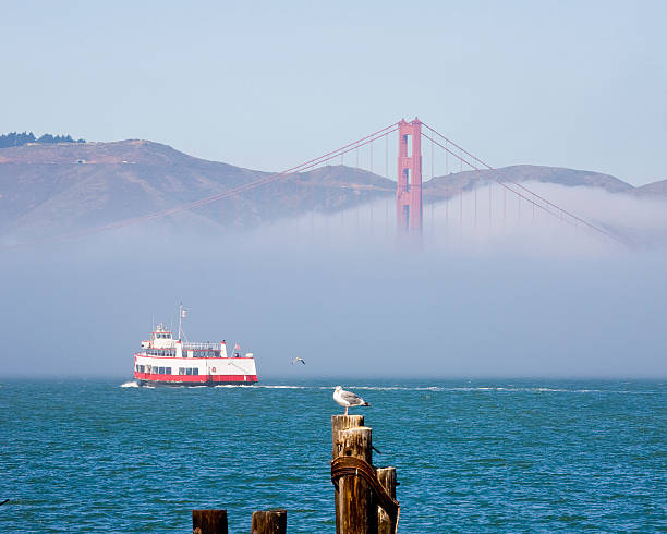 istock San Francisco Bay: Tourboat Under Golden Gate Bridge, Low Fog 176110417