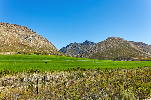 Green irrigated fields in the fertile Langkloof valley in the Langeberg mountains, Little Karoo, Western Cape, South Africa