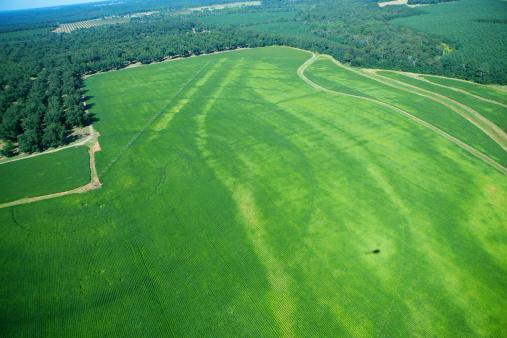 Aerial view of farmland in Georgia.