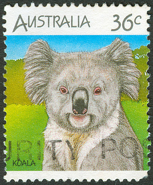 istock Postage stamp of Australian Koala 176111848