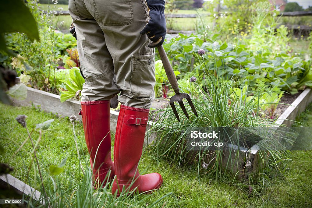 Gärtner in Rot Wellies Holding Fork - Lizenzfrei Blumenbeet Stock-Foto