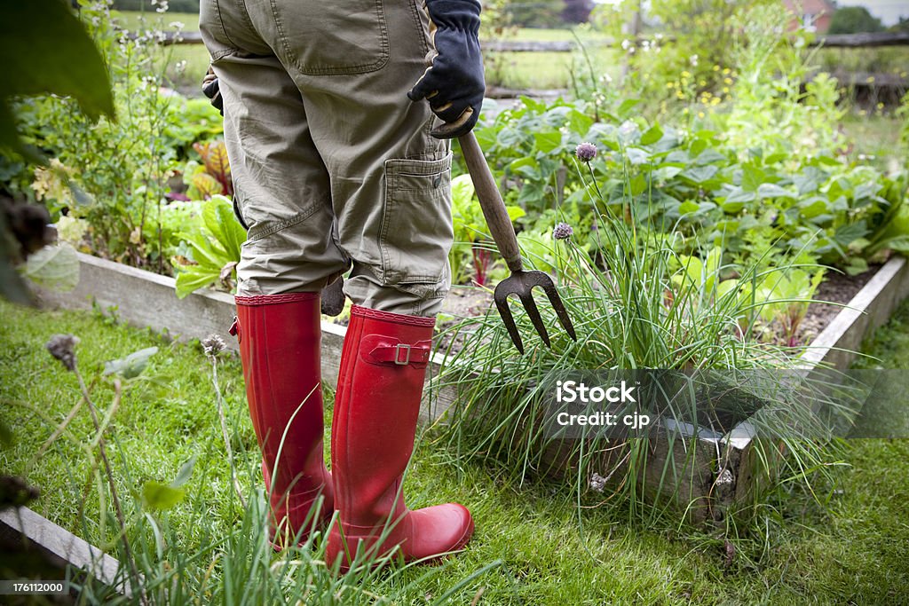 Садовник в красные резиновые сапоги, держа вилка - Стоковые фото Клумба роялти-фри
