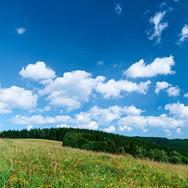 istock Square spring landscape 75MPix XXXXL - meadow, blue sky 176112300