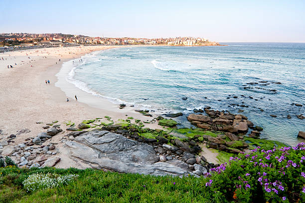istock Surfers and Sunbathers on Sydney's Bondi Beach 176112577