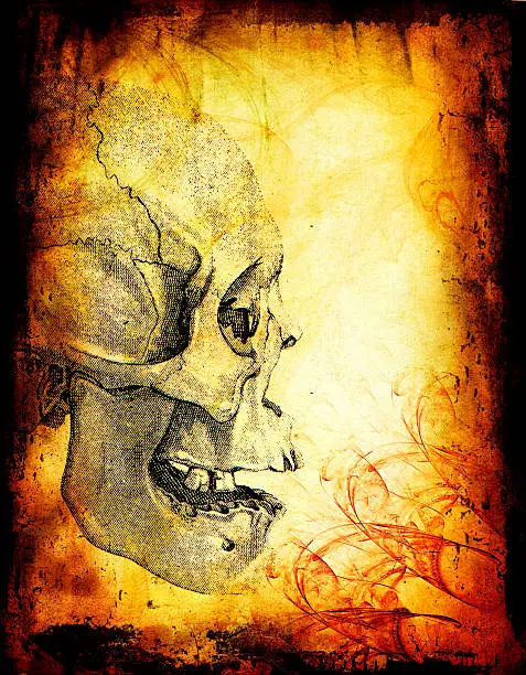 Photo of Horror Skull Halloween Background