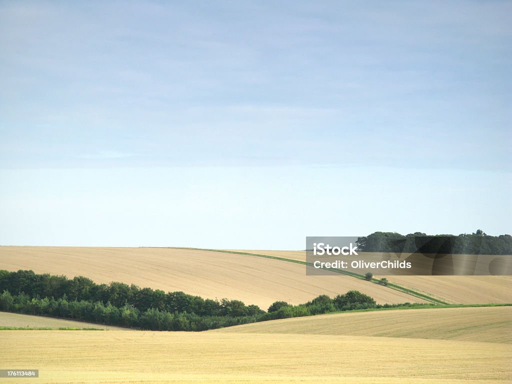 Farm campos sobre llanuras de Salisbury. - Foto de stock de Agosto libre de derechos