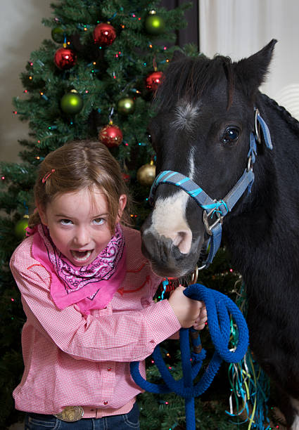 маленькая девочка с радостью получите пони на рождество - horse child pony little girls стоковые фото и изображения