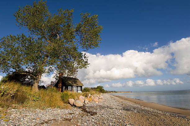 伝統的なスカンジナビア風のビーチハウス。 - denmark beach beach house house ストックフォトと画像