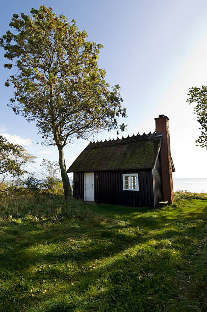 scandinave traditionnelle maison au bord de la plage. - denmark beach beach house house photos et images de collection