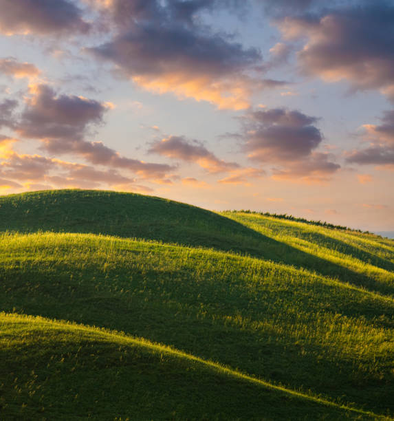 As the sun sets over the Val d'Orcia in Tuscany, the landscape transforms into a rural masterpiece. The rolling hills and agricultural fields create an idyllic, tranquil scene. There are no people in sight, allowing the beauty of nature to shine. The sky is painted with a captivating mix of clouds as the day transitions to evening. This is a place where the essence of Italian culture is intertwined with the stunning beauty of the natural world, offering a serene and non-urban escape.