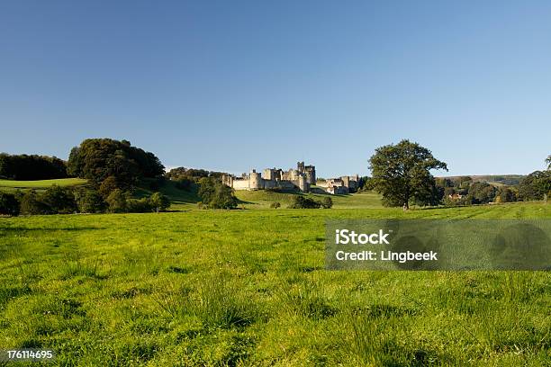 Castello Di Alnwick - Fotografie stock e altre immagini di Castello di Alnwick - Castello di Alnwick, Acqua, Albero