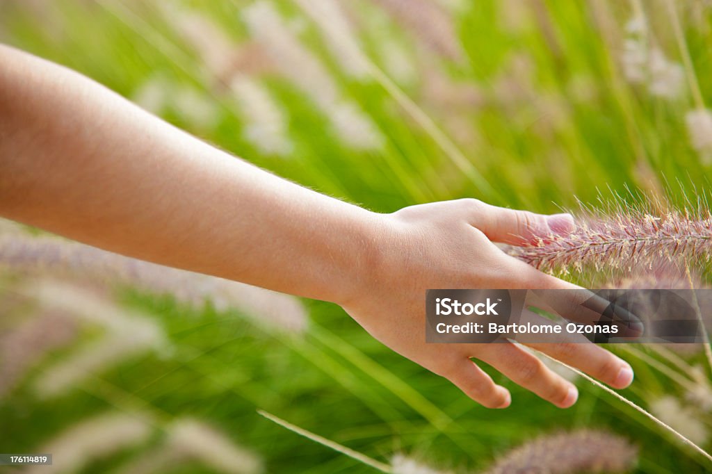 女性手を触れ芝生 - 芝草のロイヤリティフリーストックフォト