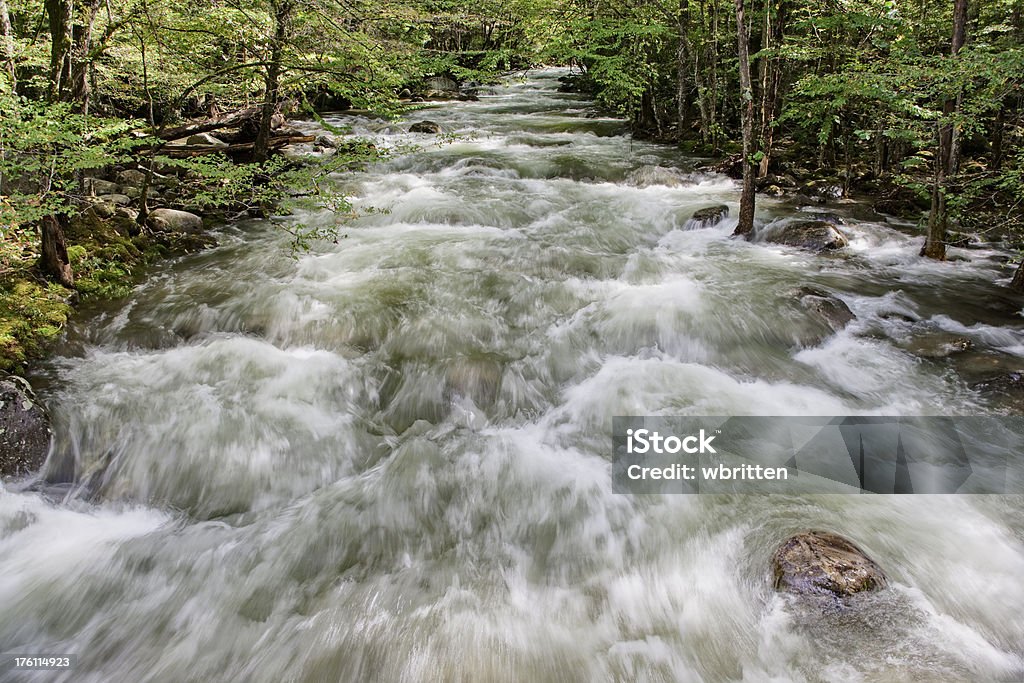 Natura selvaggia - Foto stock royalty-free di Acqua