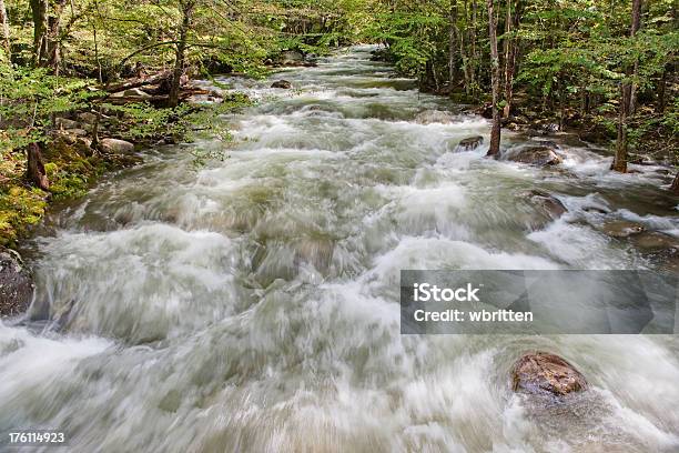 Natura Selvaggia - Fotografie stock e altre immagini di Acqua - Acqua, Acqua fluente, Ambientazione esterna