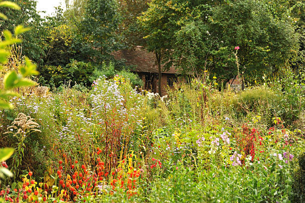 アン・ハサウェイの家、野生の花のガーデン、スタットフォード要 avon ,英国 - stratford upon avon william shakespeare england house ストックフォトと画像