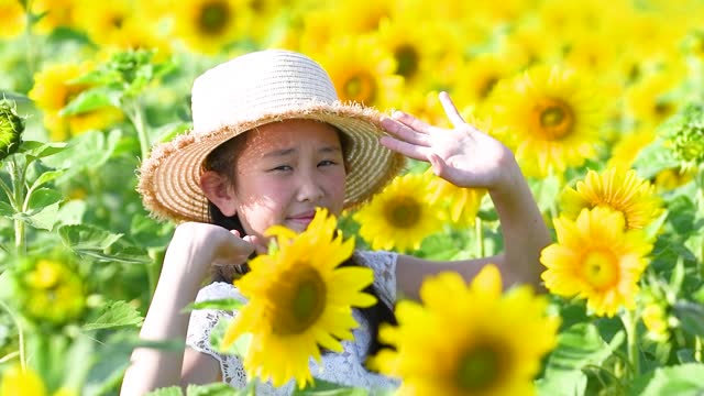 A girl playing in a sunflower field