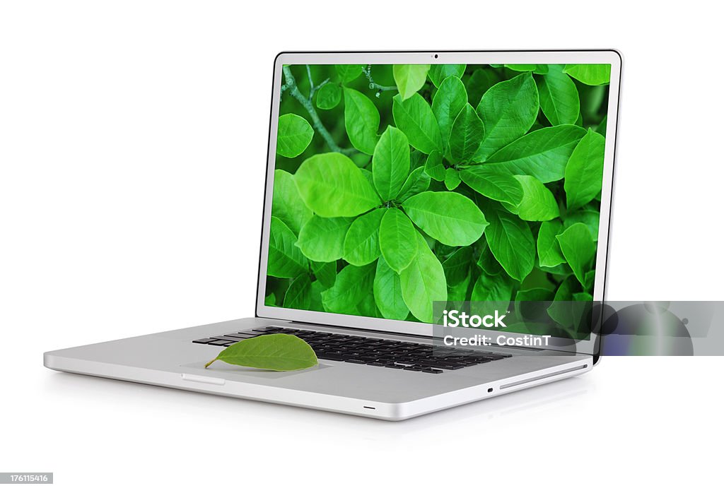 Современный ноутбук с Магнолия дерево лист-Вид слева - Стоковые фото Без людей роялти-фри