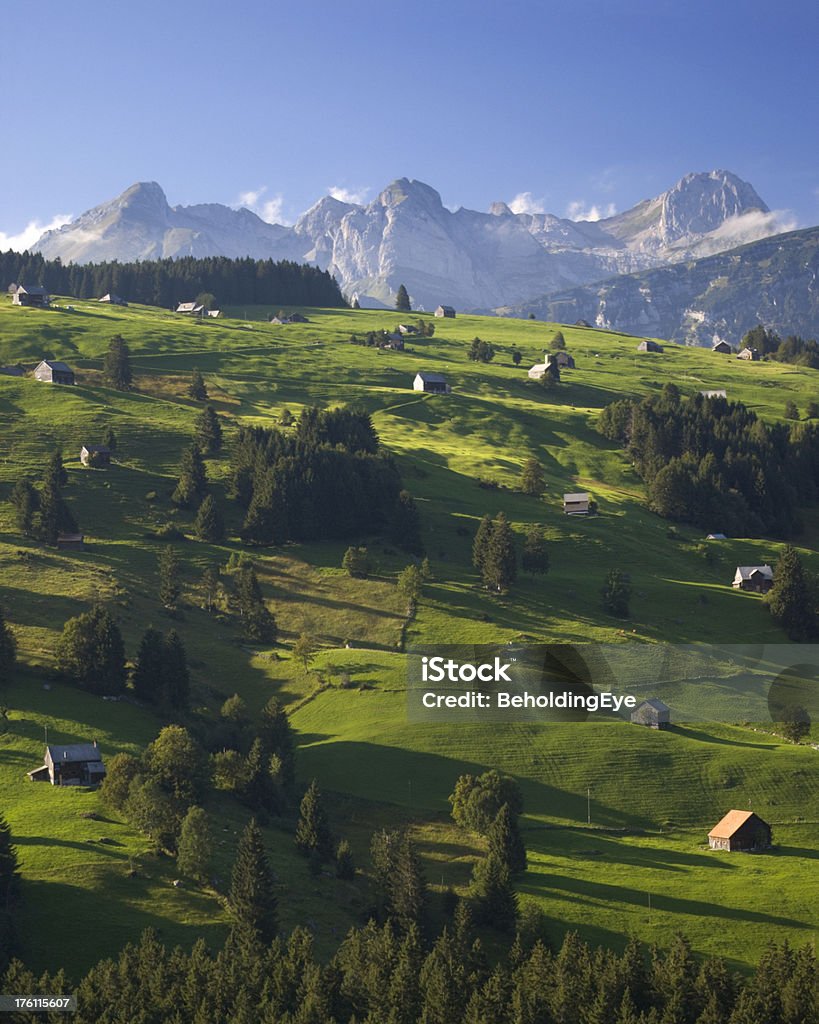 Alpine Scena - Zbiór zdjęć royalty-free (Rolnictwo)