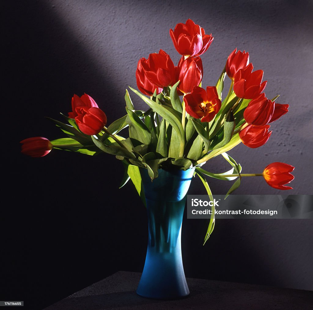 Tulips Bunch of red tulips in front of a grey wall.Please see some similar pictures from my portfolio: Beauty In Nature Stock Photo