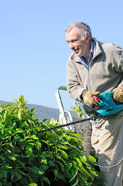 istock stupid man with hedge-trimmer 176116907