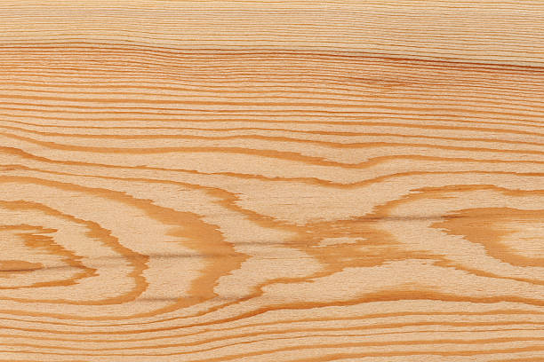 ad alta risoluzione legno naturale texture - larch tree foto e immagini stock