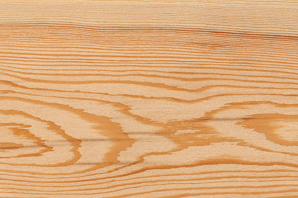 High resolution natural wood grain texture Larch. larch tree stock pictures, royalty-free photos & images