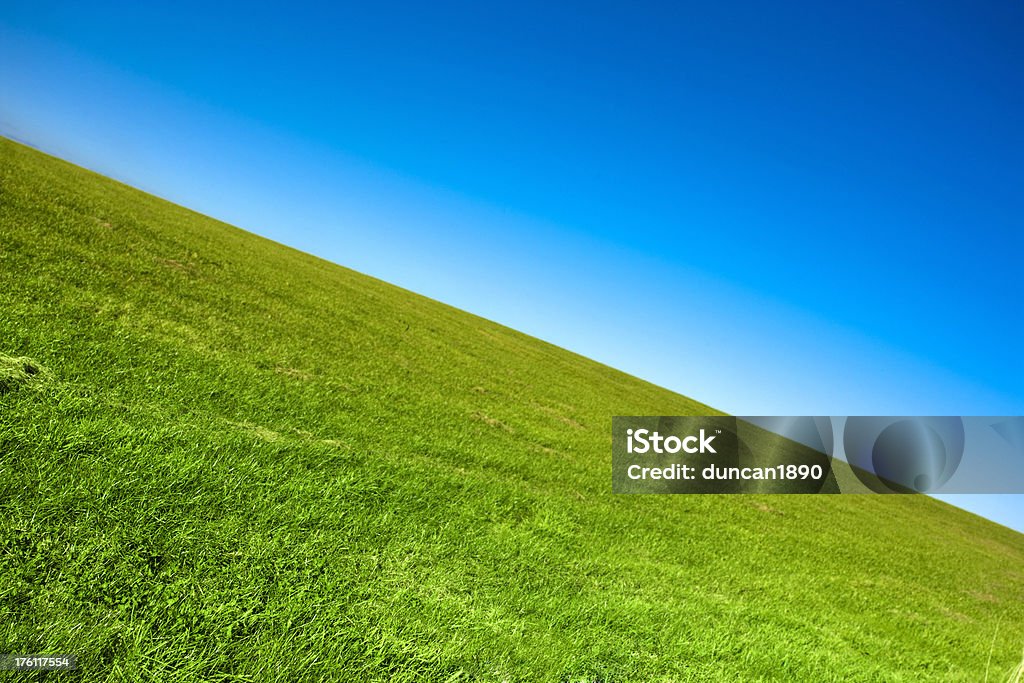 Zielone pole i błękitne niebo jasne - Zbiór zdjęć royalty-free (Abstrakcja)