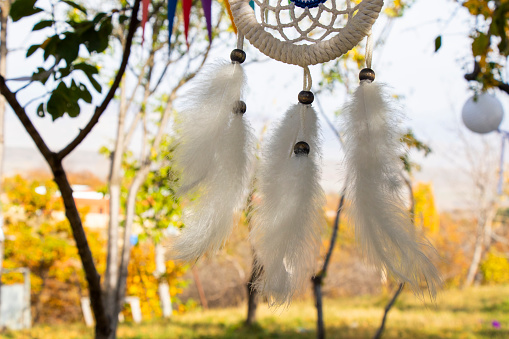 Dream catcher on the tree in yard