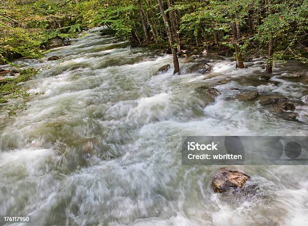 Река Наводнение — стоковые фотографии и другие картинки Gatlinburg - Gatlinburg, Roaring Fork River, Tremont