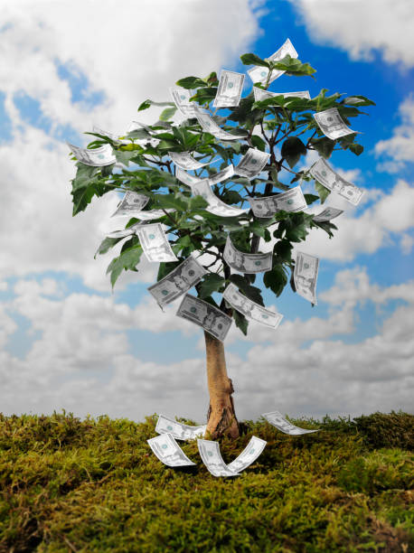 istock American Dollars on a Bonsai Tree 176118412