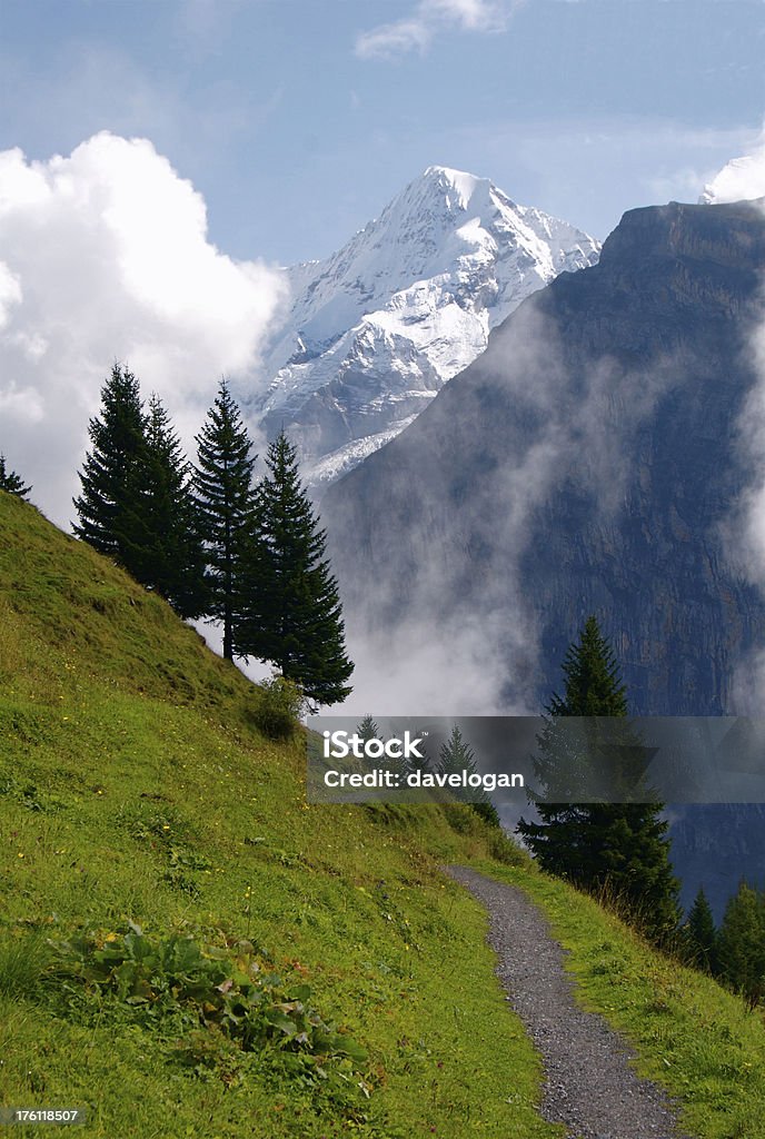 Szwajcarska Alpine Trail z widocznej nad Góra Eiger - Zbiór zdjęć royalty-free (Alpy)