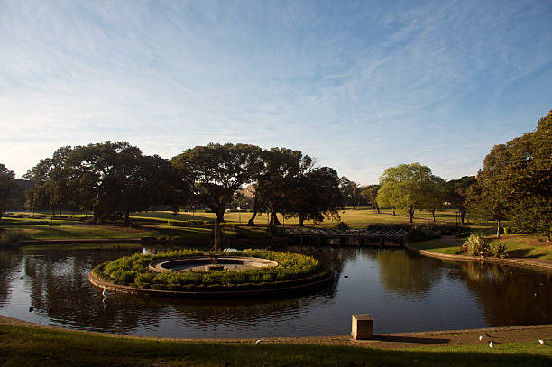 istock Park Life in Sydney 176118527