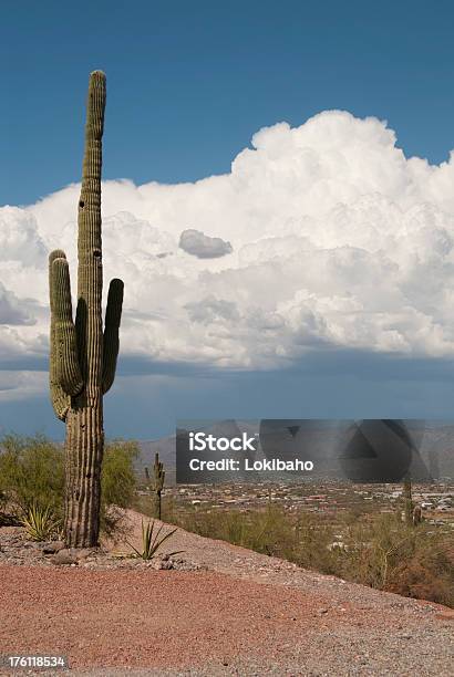 Distante Operación Tormenta Del Desierto Foto de stock y más banco de imágenes de Desierto Sonorano - Desierto Sonorano, Paisaje con nubes, Aire libre