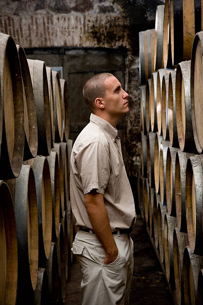 istock Inspecting wine barrels at the cellar 176118955