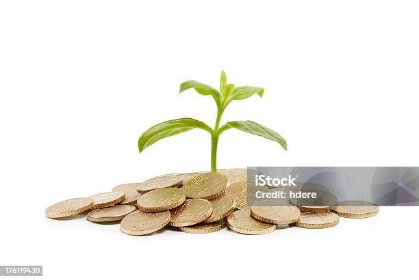 Coins And Plant Stock Photo - Download Image Now - Banking, Charity and Relief Work, Concepts