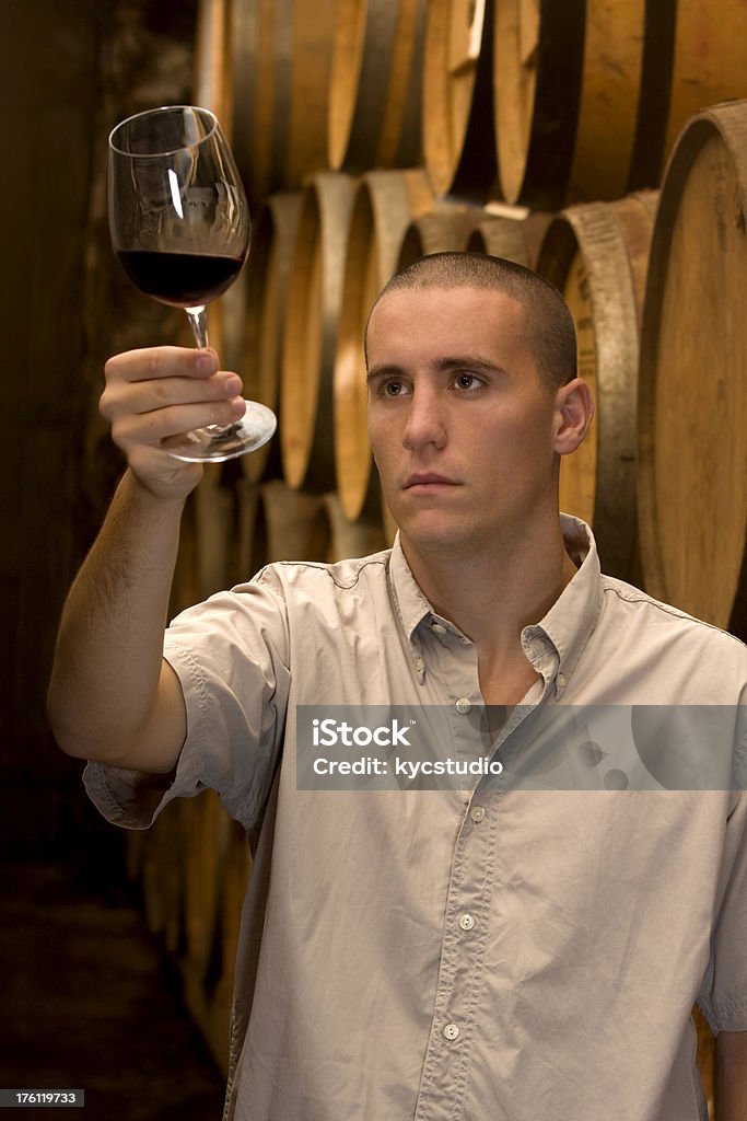 Winemaker inspección en la bodega de vinos - Foto de stock de Vino libre de derechos