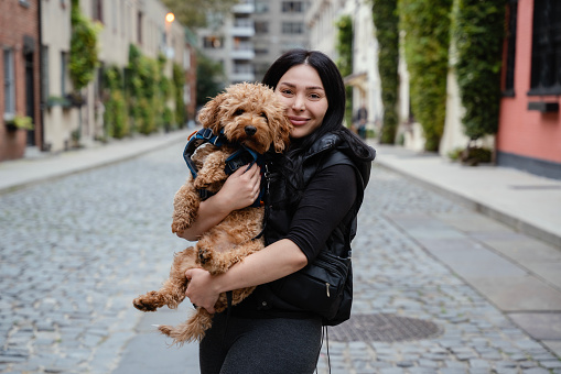 Young woman with her toy poodle dog on street, Midtown Manhattan, NY