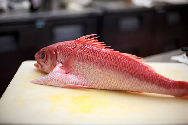 Whole red snapper A very fresh whole red snapper on the cutting board in a restaurant kitchen fillet red snapper fish raw stock pictures, royalty-free photos & images