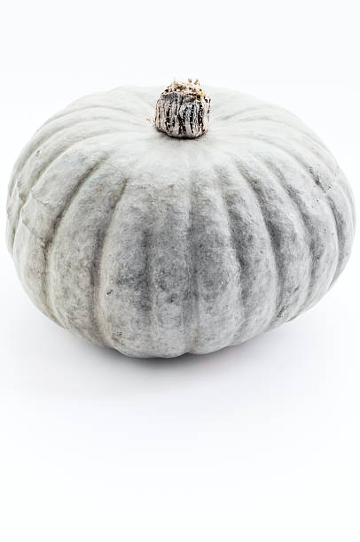 istock Crown Prince Pumpkin Isolated on White Background ( serie ) 176120053