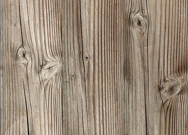 istock Wood fence 176120415