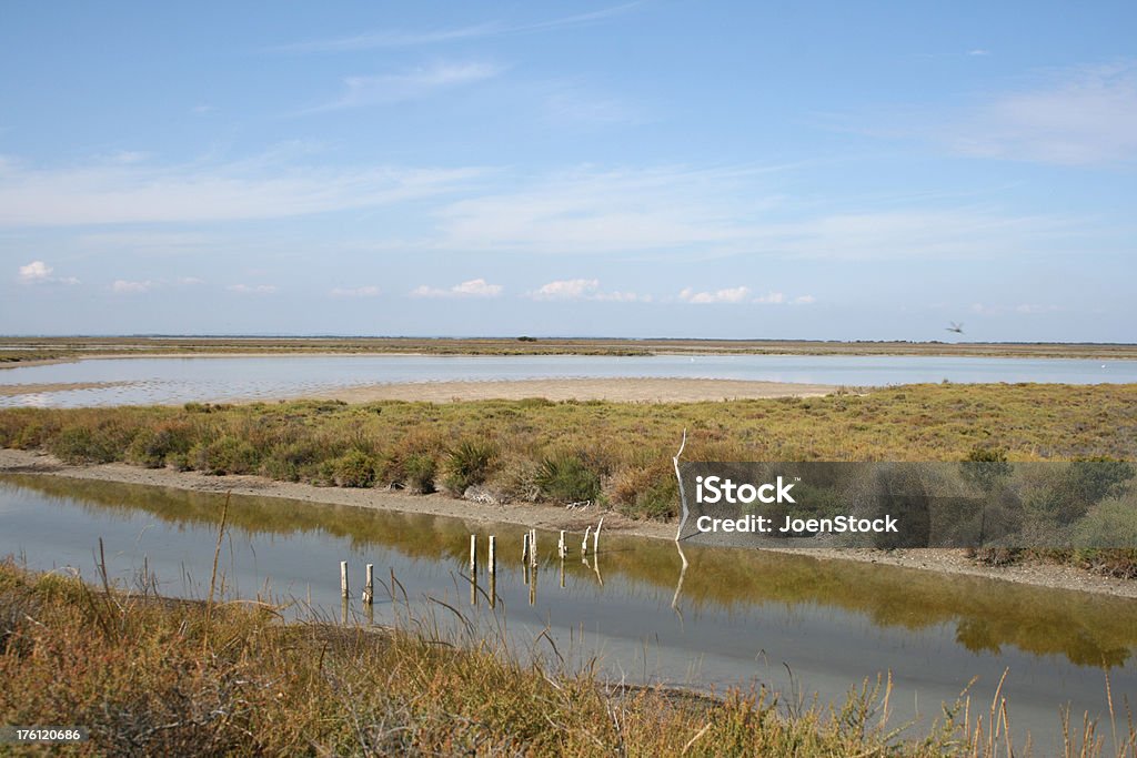 Pântano em francês Camargue - Royalty-free Ao Ar Livre Foto de stock