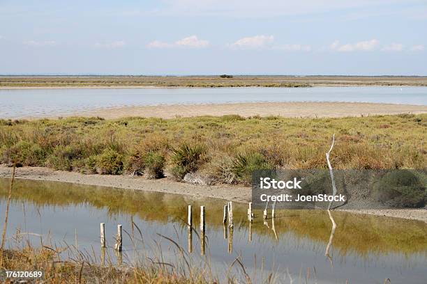 湿地川カマルグフランス - カマルグのストックフォトや画像を多数ご用意 - カマルグ, サントマリードラメール, フランス