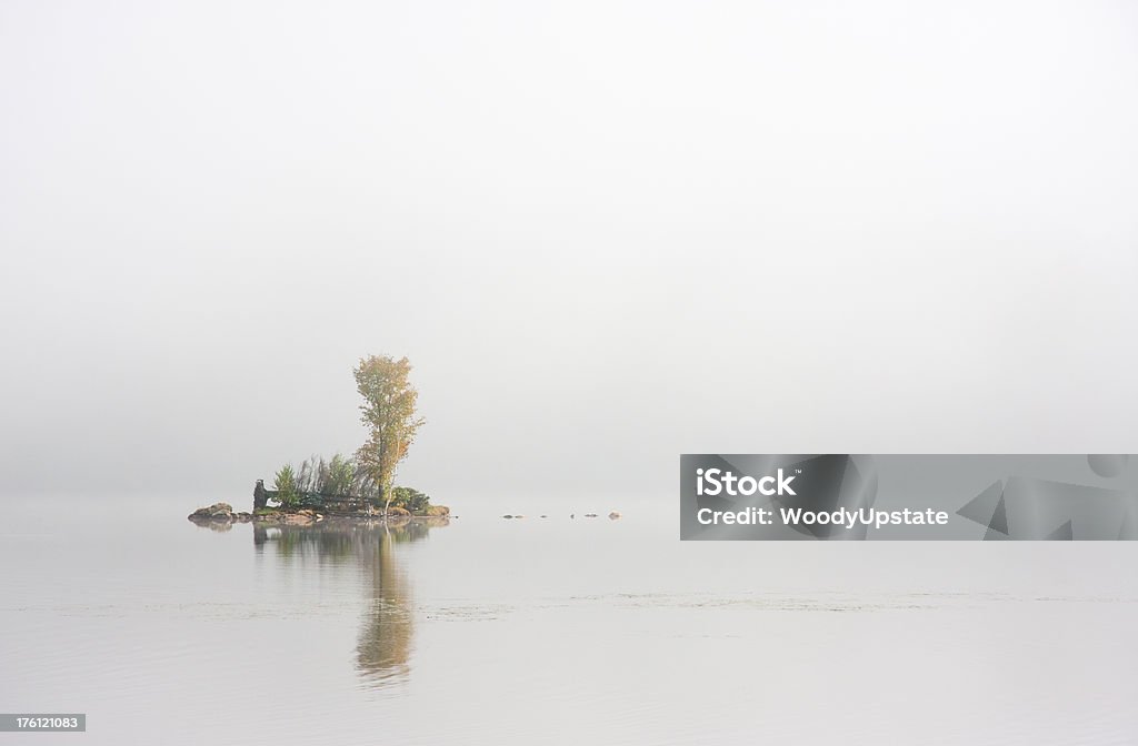 Solitude Island - Photo de Arbre libre de droits