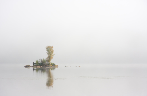 A small island in the middle of a lake surrounded by fog.