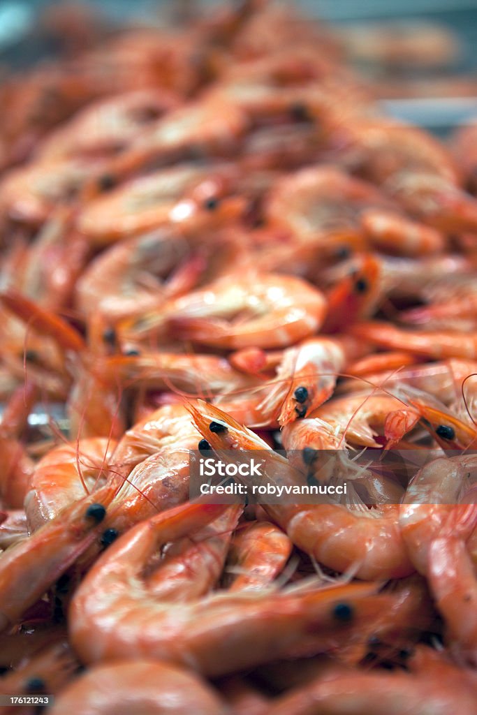 Crevettes roses sur un Étal de marché - Photo de Affaires libre de droits