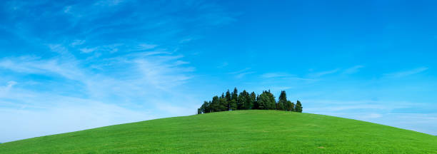istock Highland scenery 98MPix XXXXL meadow, forest, hill, sky 176121517