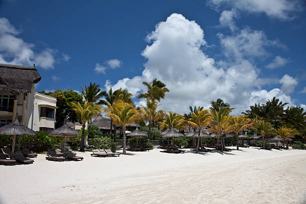 istock Hotel , Umbrellas/sunbrellas and Palms on the Mauritius beach 176122024