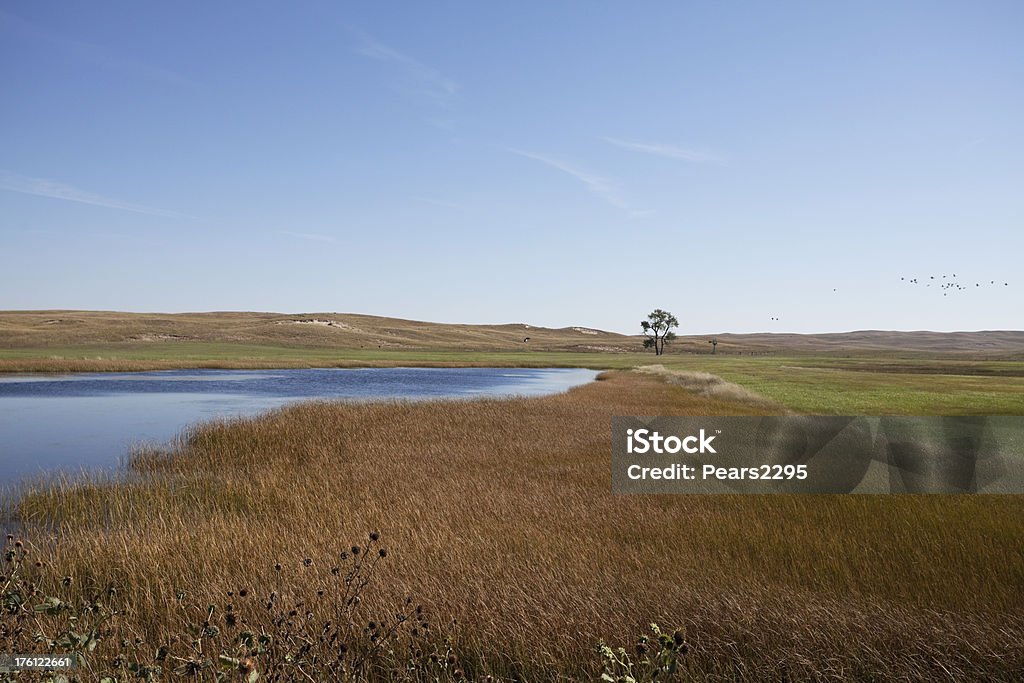 Lake Series Lake in NebraskaCheck out my Dakotas Series Pond Stock Photo