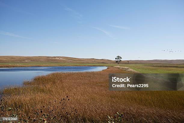 Lake Series Stock Photo - Download Image Now - Pond, Prairie, Backgrounds